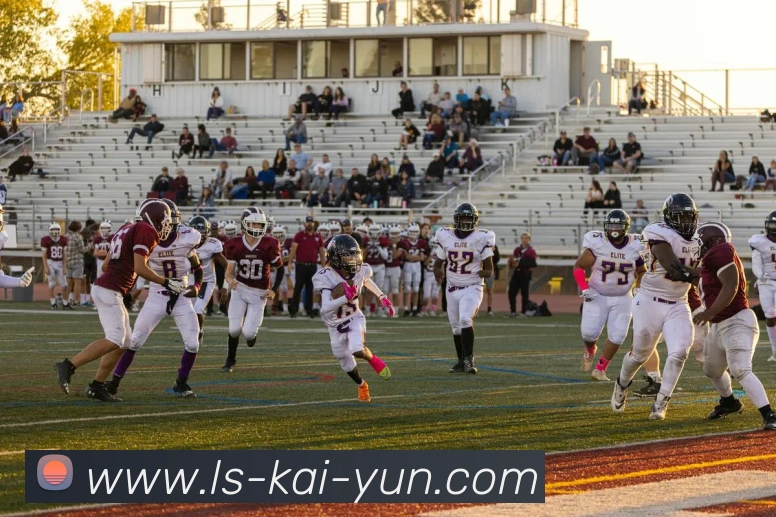 APP界面展示